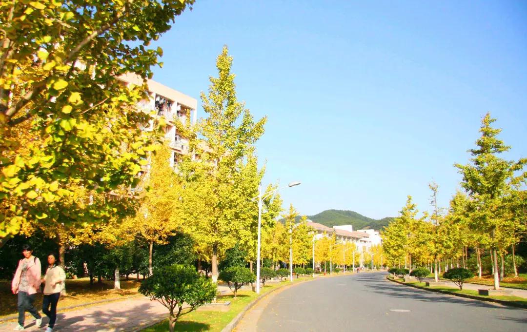 打造合肥校园景观绿化的功能性考量