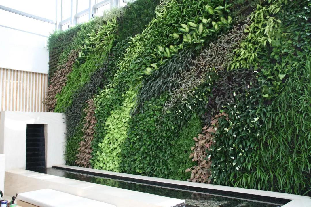合肥室内垂直绿化养护的质感设计